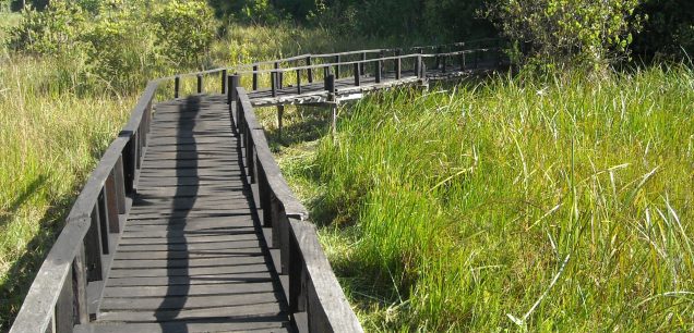 Saiwa Swamp National Park