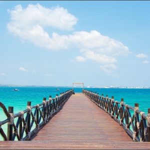 10 Days Mountain, Savanna to Beach Adventure Safari