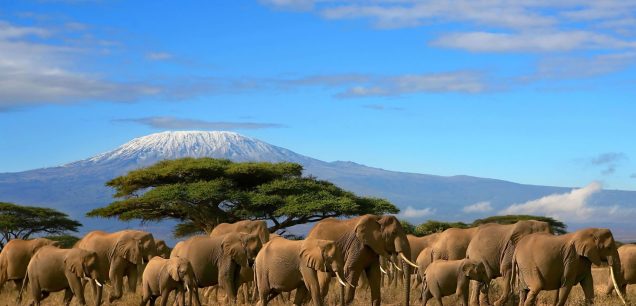 Amboseli National Park