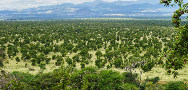 Meru National Park